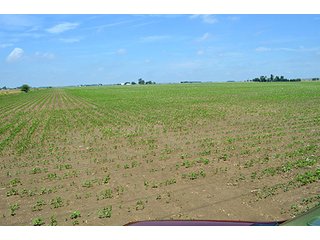 Property photo 45 - LAND AUCTION - 700+/- ACRES OFFERED IN 16 TRACTS IN ALLEN COUNTY, INDIANA